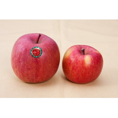 【令和7年11月上旬～発送】今年もお届け。味にこだわる生産者から「葉とらずこうとく」2.8kg