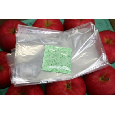 【ご自宅用】CAサンふじ約5Kg(14～23個入)黒石ねぶたダンボール箱入り　光センサー選別りんご