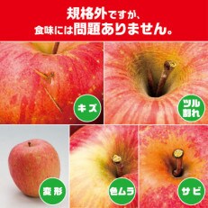 訳ありりんご シナノスイート約10Kg(26〜46玉入)【2022年10月下旬から発送予定】