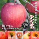 今年も約10kgお届けします!　訳ありりんご「サンふじ」24～46個入【R7年12月中旬～発送開始】