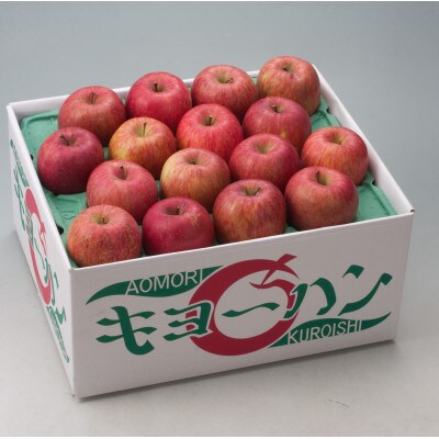 訳ありりんご サンふじ約10Kg(26~46玉入)【2022年11月下旬から発送予定】