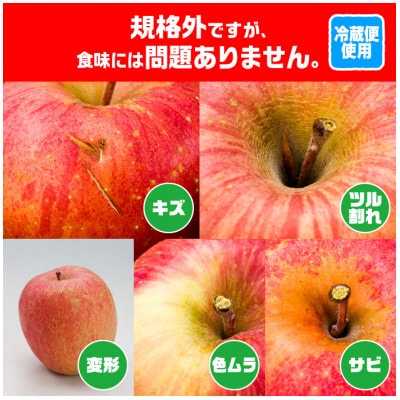 今年も約10kgをお届けします!　訳ありりんご「サンふじ」24～46個入【R6年3月中旬～発送予定】