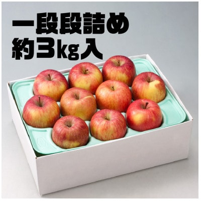 訳ありりんご「早生ふじ」に、お試しサイズ3kgが登場!!