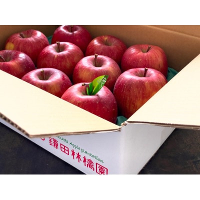 鎌田林檎園直送! こだわりの個性派 葉隠れサンふじ 約3kg 【スタンダード品】