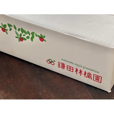 鎌田林檎園直送!　輝くイエロー!パリッとジューシー　シナノゴールド　約3kg