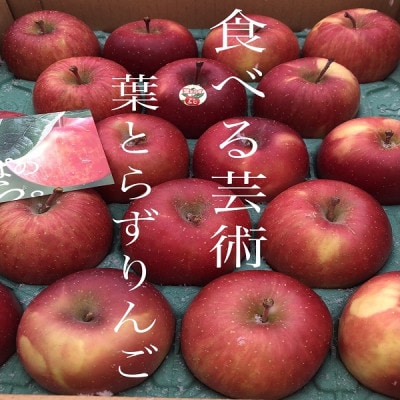 園主一押し!味をとことん突き詰めたりんご　葉とらずサンふじ　贈答用　約5kg　蜜入り期待大!