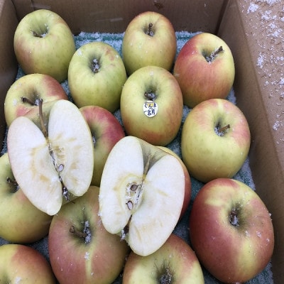 甘くてシャキシャキ!　青森県産りんご　ぐんま名月　贈答用　約5kg　蜜入りも!