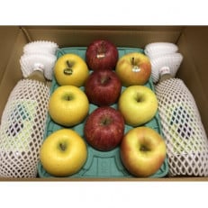 旬のりんご約3kgとりんごジュース1リットル瓶×2本の詰合せ!よくばりセット　贈答用