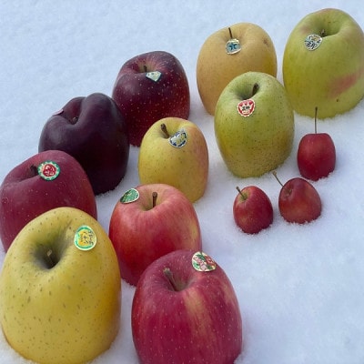 園主おススメ!　旬のりんご詰め合わせ　【贈答用】　約5キロ　4品種食べ比べ