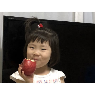 青森りんご　未希ライフ　家庭用　3kg　しっかりとした食感、玄人好みの夏りんご