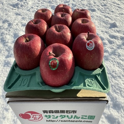 りんごと言えば、本場青森県産サンふじ　贈答用　約3kg　9個前後入り　農家直送　蜜入り期待大!