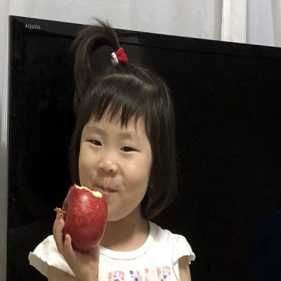 りんごと言えば、本場青森県産サンふじ　贈答用　約3kg　9個前後入り　農家直送　蜜入り期待大!