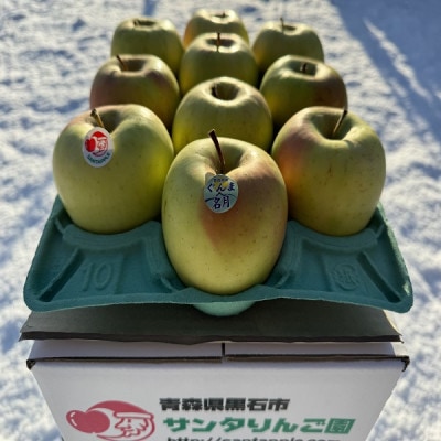 甘くてシャキシャキ!　青森県産りんご　ぐんま名月　家庭用　約3キロ　農家直送