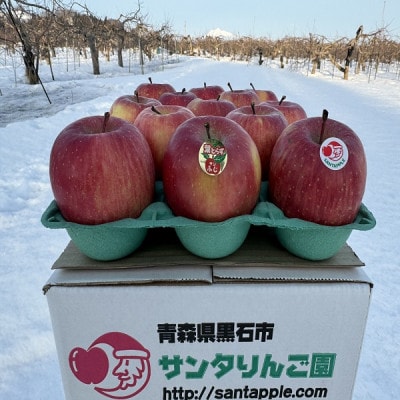 蔵出し春りんご　葉とらずサンふじ　小玉　約3キロ(13個前後入)　実が硬めで食感良好