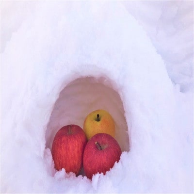 蔵出し春りんご　葉とらずサンふじ　小玉　約3キロ(13個前後入)　実が硬めで食感良好