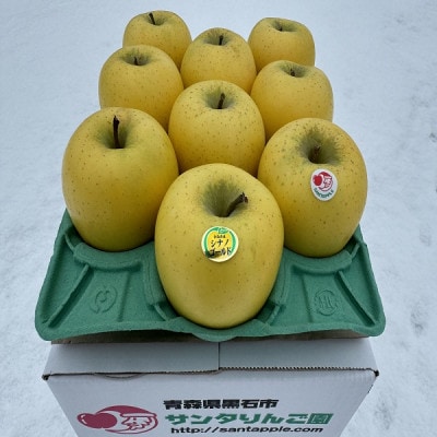 蔵出し春りんご　シナノゴールド　約3キロ　パリッと食感に、マイルドな酸味　農家直送青森りんご　