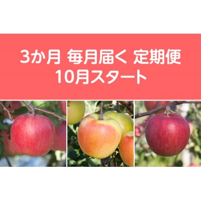 【発送月固定定期便】先行予約〈2025年10月より順次発送〉甘味系・青森県産りんご約3kg 全3回
