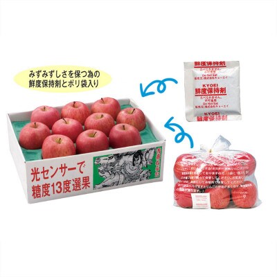 【発送月固定定期便】先行予約〈2025年10月より順次発送〉甘味系・青森県産りんご約3kg 全3回