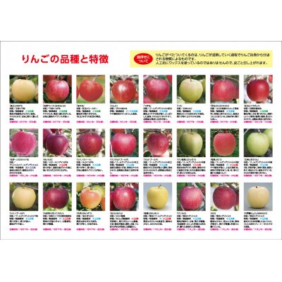 【発送月固定定期便】先行予約〈2025年10月より順次発送〉甘味系・青森県産りんご約3kg 全3回