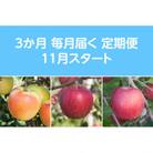 【発送月固定定期便】先行予約〈2025年11月より順次発送〉甘味系・青森県産りんご約3kg 全3回