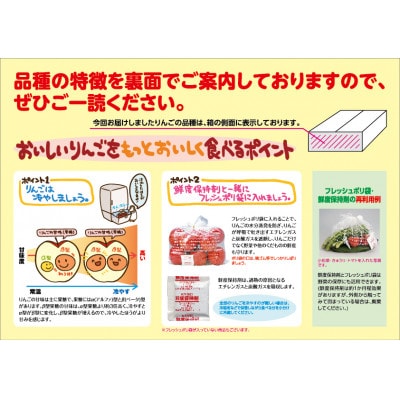 【発送月固定定期便】先行予約〈2025年11月より順次発送〉甘味系・青森県産りんご約3kg 全3回