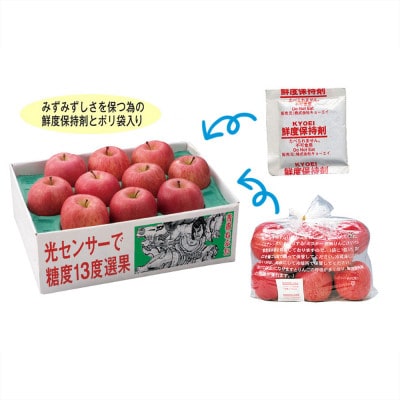 【発送月固定定期便】〈2024年9月より順次発送〉甘味系・青森県産りんご約3kg 全6回