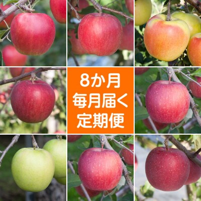 【発送月固定定期便】〈2024年9月より順次発送〉甘味系・青森県産りんご約3kg全8回
