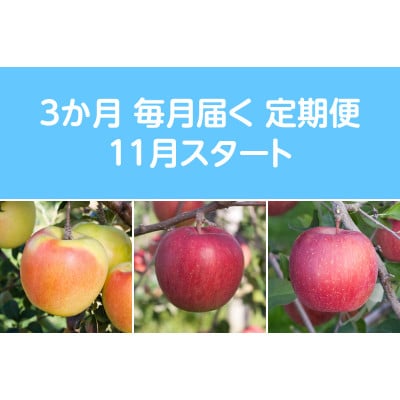 【発送月固定定期便】〈2025年11月より順次発送〉甘味系・青森県産りんご約3kg全3回
