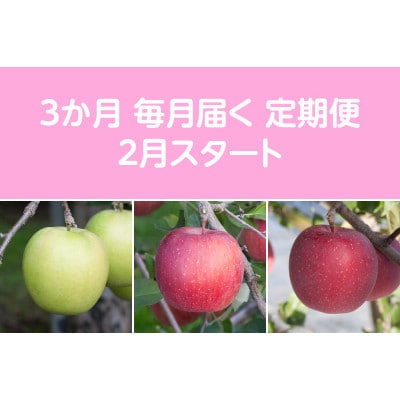 【発送月固定定期便】〈2026年2月より順次発送〉甘味系・青森りんご約3kg全3回