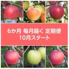 【発送月固定定期便】〈2025年10月より順次発送〉甘味系・青森県産りんご約3kg全6回