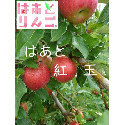 青森県産りんご　’はあと’紅玉　3K箱