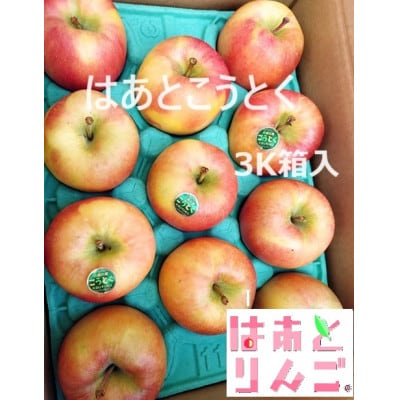青森県産りんご　「はあと」こうとく 3K箱