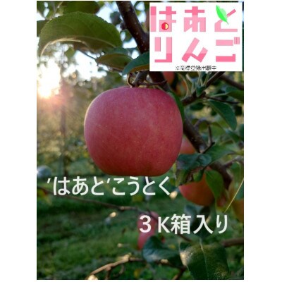 青森県産りんご　「はあと」こうとく 3K箱