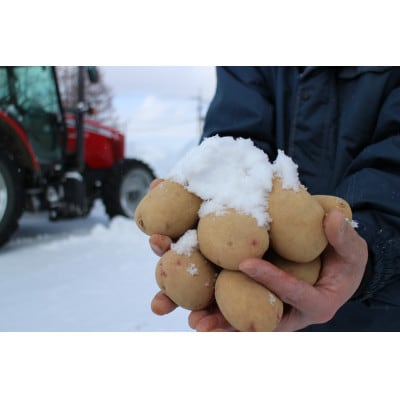 ほっこり幸せ!雪室じゃがいも～4種詰め合わせ～
