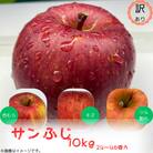 訳ありりんご【サンふじ】10kg(24～46個入)　【令和7年11月下旬～随時発送開始】
