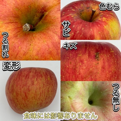 【令和7年9月下旬～随時発送予定】　内容量　10kg(26～46個入)　訳ありりんご　早生ふじ