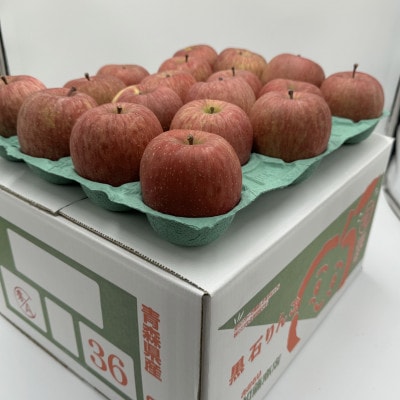【令和7年9月下旬～随時発送予定】　内容量　10kg(26～46個入)　訳ありりんご　早生ふじ
