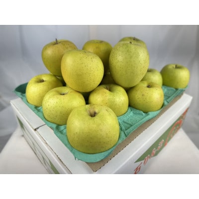 糖度保証!　訳あり品　王林　5kg(14個～23個)【令和7年12月下旬より順次発送】
