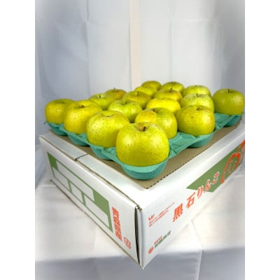 糖度保証!!　令和6年産　訳あり品　王林10kg(26個～46個)【令和7年12月中旬より順次発送】