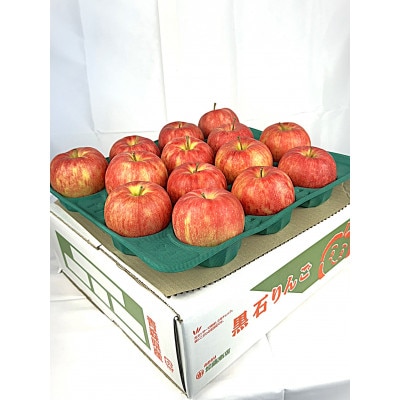 令和7年10月～順次発送　酸味ですっきり　訳ありサンジョナゴールド　10kg(26～40個入)