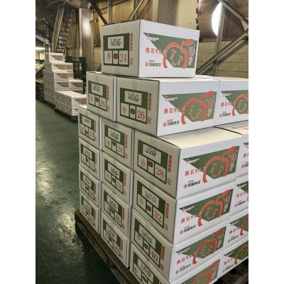 令和7年10月～順次発送　酸味ですっきり　訳ありサンジョナゴールド　10kg(26～40個入)