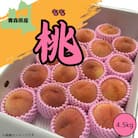 青森県産 桃 4.5kg(12～16玉)【2025年8月中旬～発送開始】
