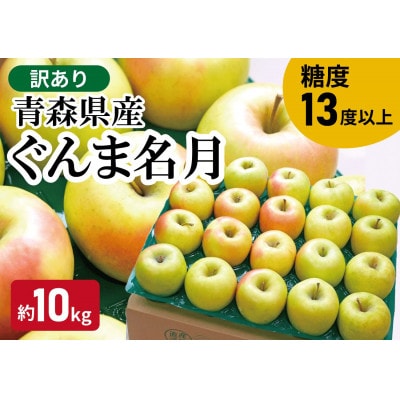 【黒石市産】糖度13度以上保証!ぐんま名月訳アリ家庭用約10kgりんご ※離島・沖縄は配送不可
