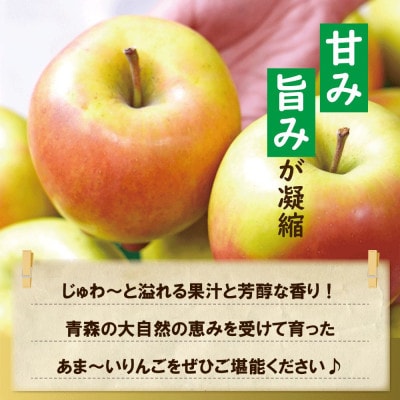 【黒石市産】糖度13度以上保証!ぐんま名月訳アリ家庭用約10kgりんご ※離島・沖縄は配送不可