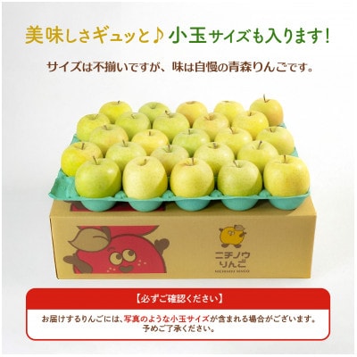 【26年11月から順次発送】平均糖度13度以上! 王林 約10kg 訳あり 青森県産 りんご