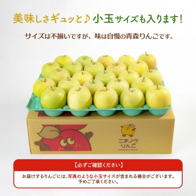 【26年11月より順次発送】平均糖度13度以上! 王林 約5kg 訳あり 青森県産 りんご
