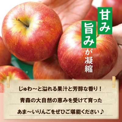 【黒石市産】糖度13度以上保証!シナノスイート1番手限定贈答用約3kgりんご ※離島・沖縄は配送不可