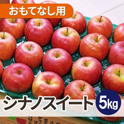 【26年3月より順次発送】平均糖度13度以上! シナノスイート 約5kg おもてなし用