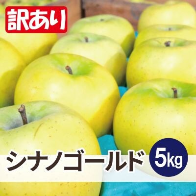 【26年6月より順次発送】平均糖度13度以上! シナノゴールド 約5kg 訳あり  クール便