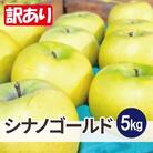 【26年1月より順次発送】平均糖度13度以上! シナノゴールド 約5kg 訳あり
